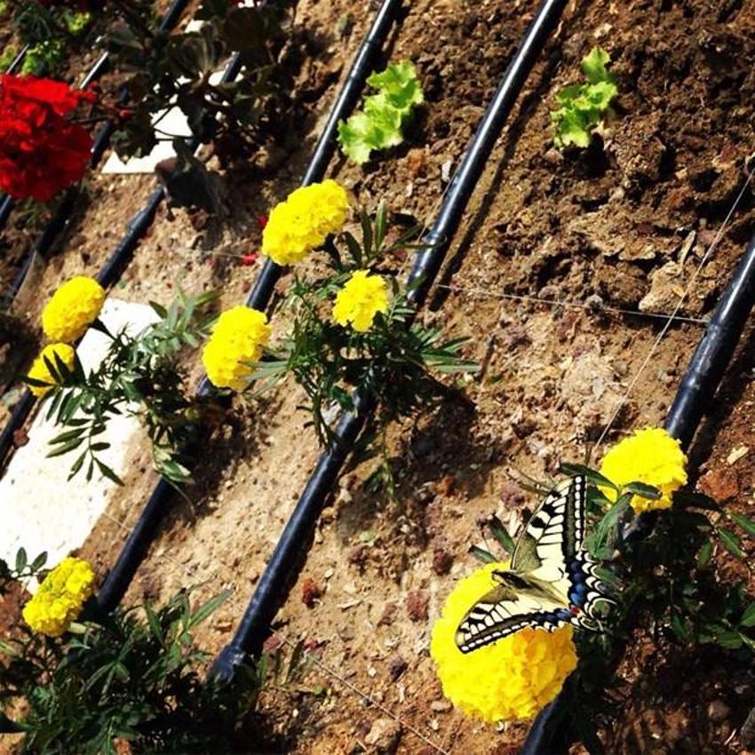 Papermoon’un çöpleri Akmerkez’in tarlasını besledi