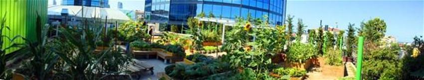 Papermoon’un çöpleri Akmerkez’in tarlasını besledi