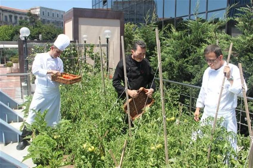 Papermoon’un çöpleri Akmerkez’in tarlasını besledi