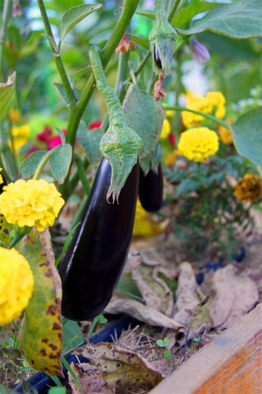 Papermoon’un çöpleri Akmerkez’in tarlasını besledi