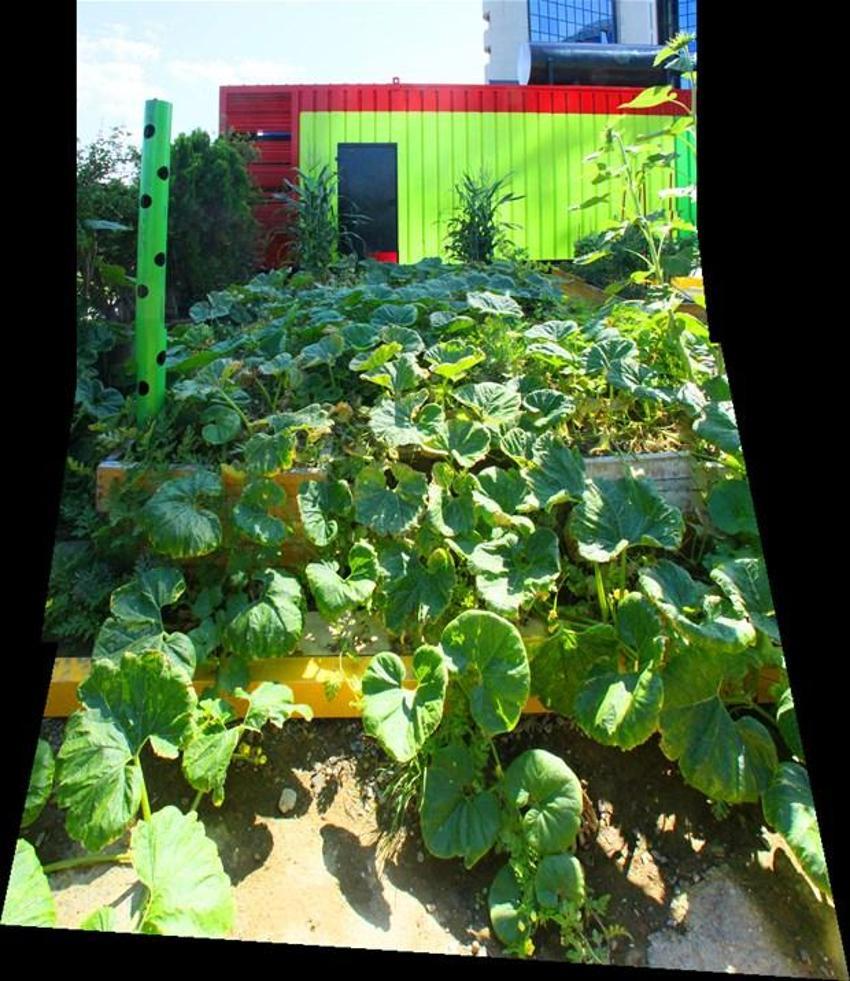 Papermoon’un çöpleri Akmerkez’in tarlasını besledi