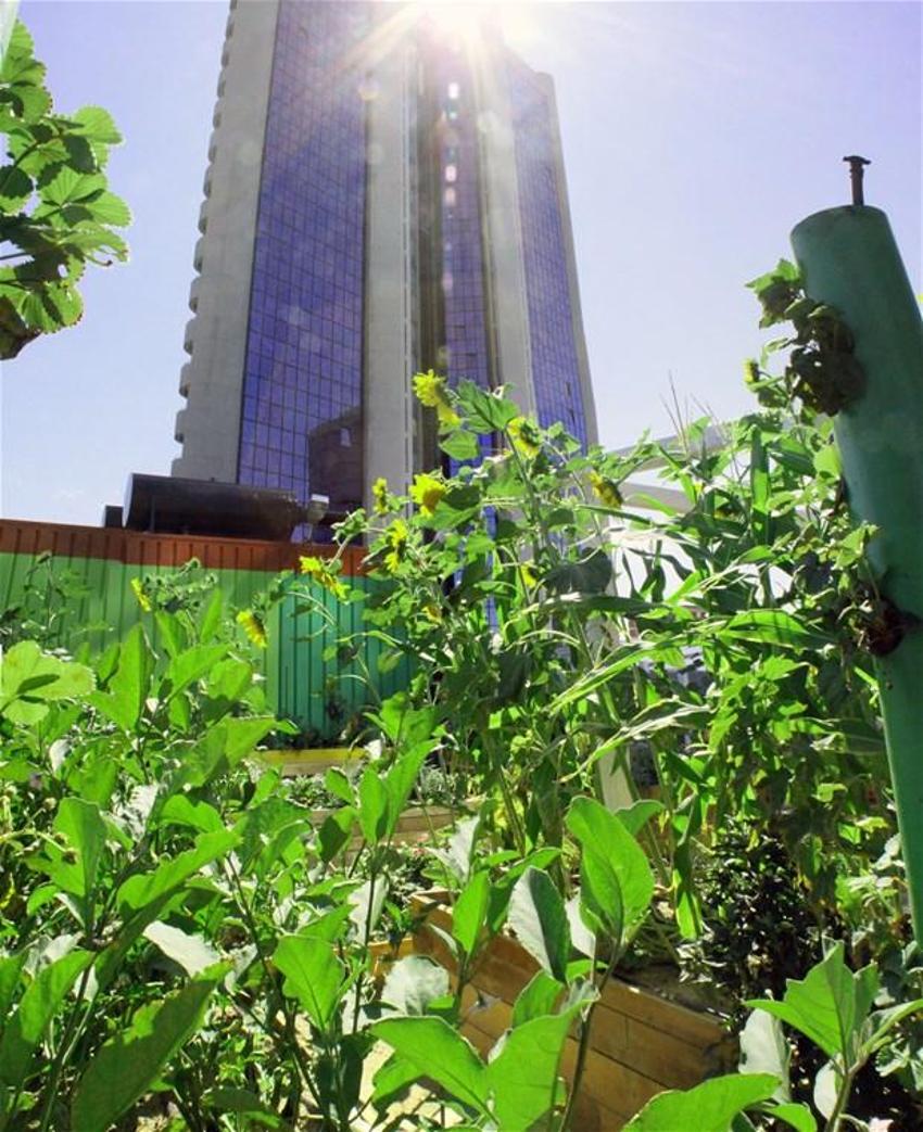 Papermoon’un çöpleri Akmerkez’in tarlasını besledi