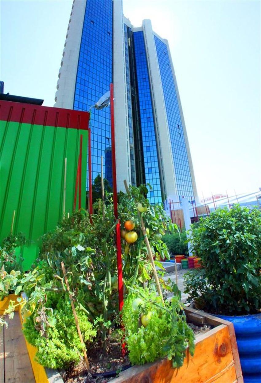 Papermoon’un çöpleri Akmerkez’in tarlasını besledi