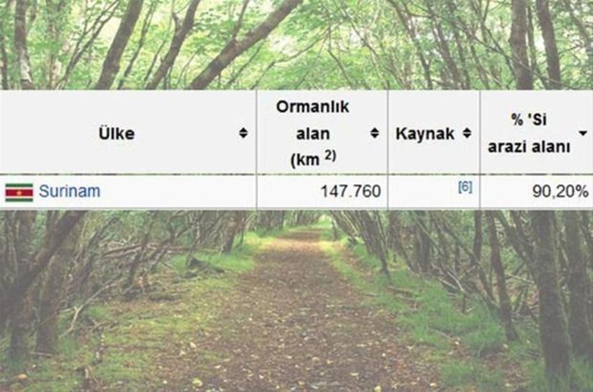 En çok ağaç hangi ülkede?
