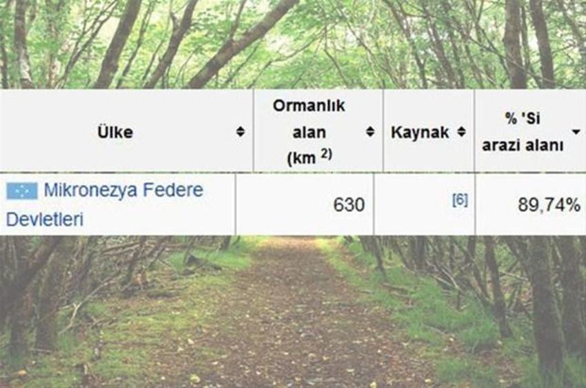En çok ağaç hangi ülkede?