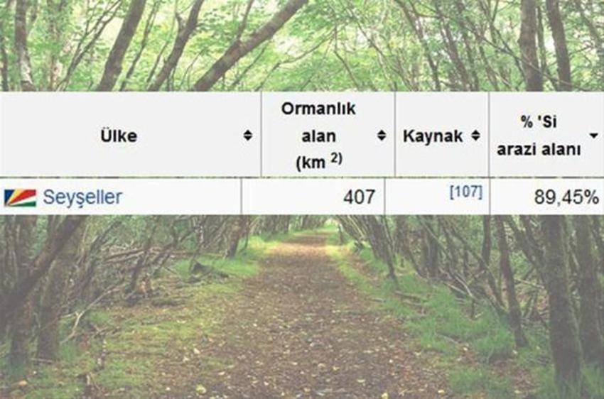 En çok ağaç hangi ülkede?