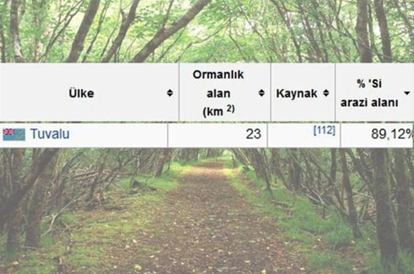 En çok ağaç hangi ülkede?