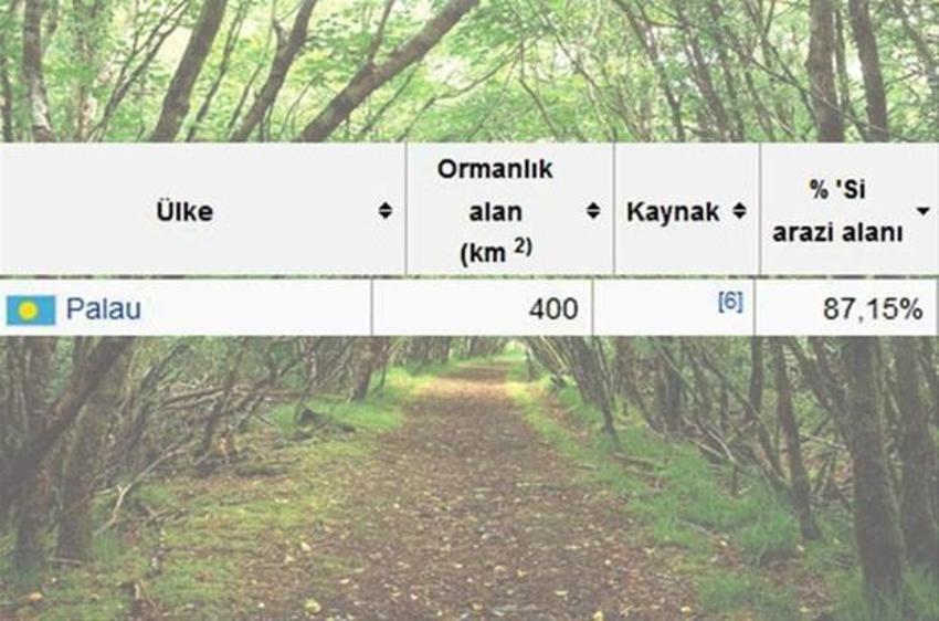En çok ağaç hangi ülkede?
