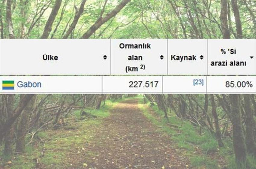 En çok ağaç hangi ülkede?