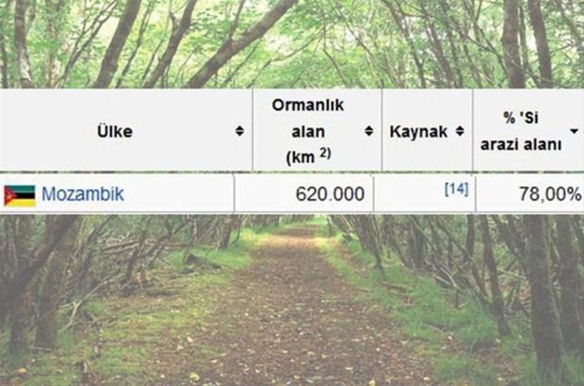 En çok ağaç hangi ülkede?