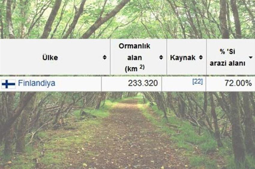 En çok ağaç hangi ülkede?