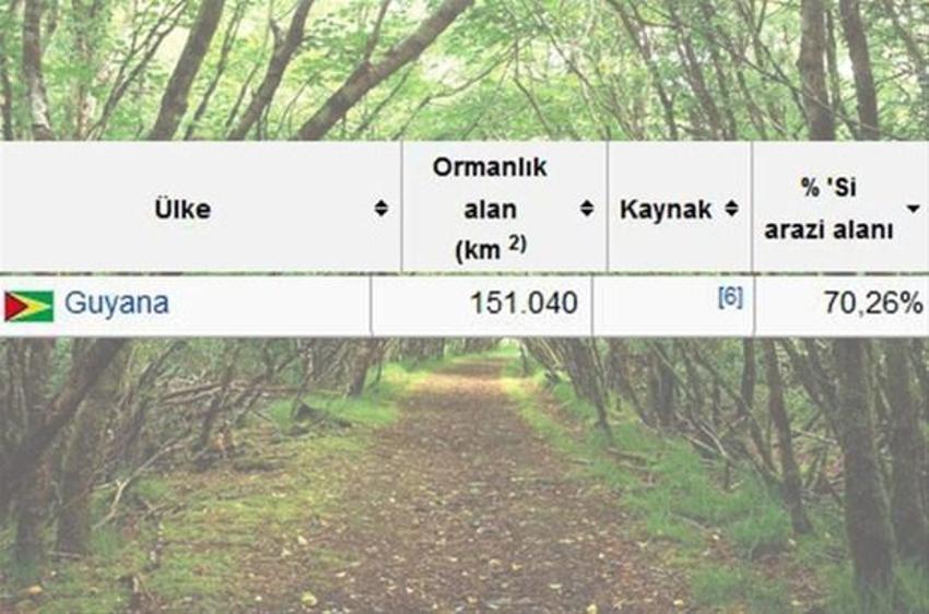 En çok ağaç hangi ülkede?