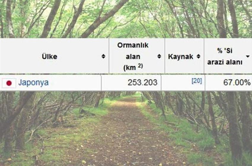 En çok ağaç hangi ülkede?