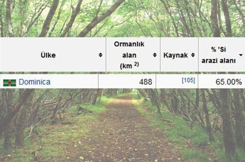 En çok ağaç hangi ülkede?