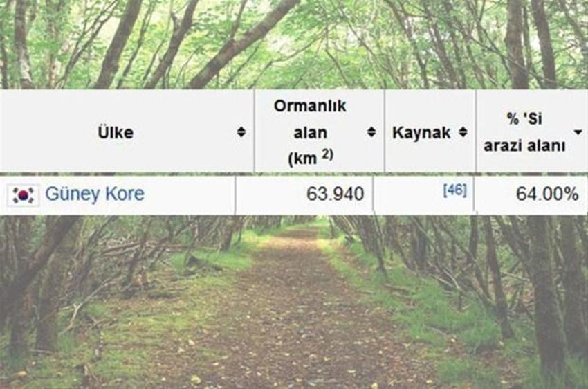 En çok ağaç hangi ülkede?