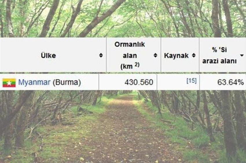 En çok ağaç hangi ülkede?