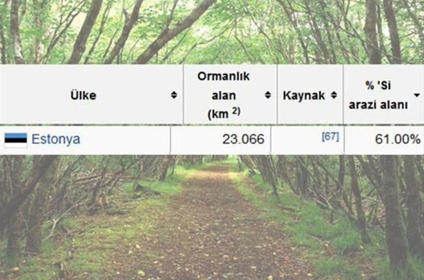 En çok ağaç hangi ülkede?