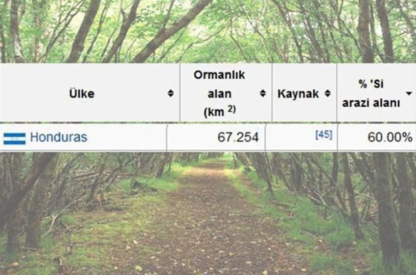 En çok ağaç hangi ülkede?