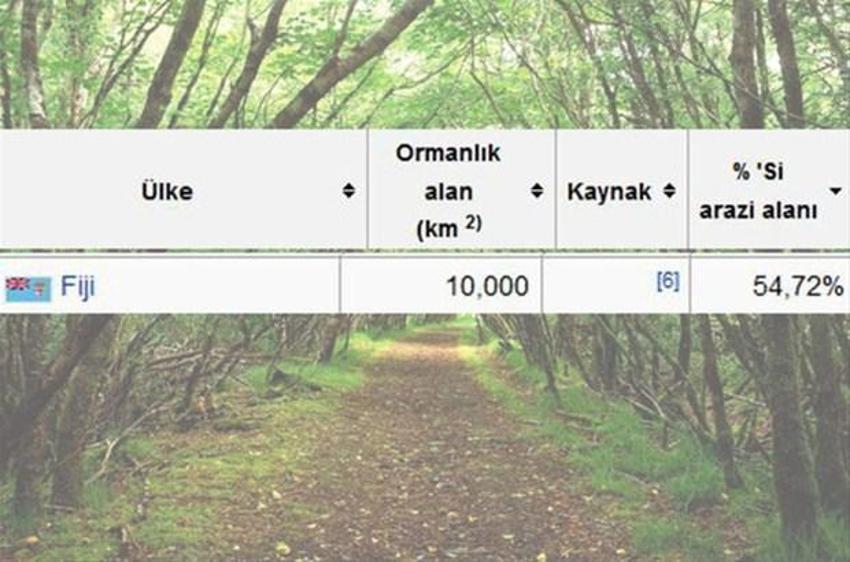 En çok ağaç hangi ülkede?