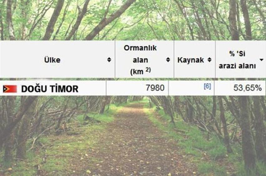En çok ağaç hangi ülkede?
