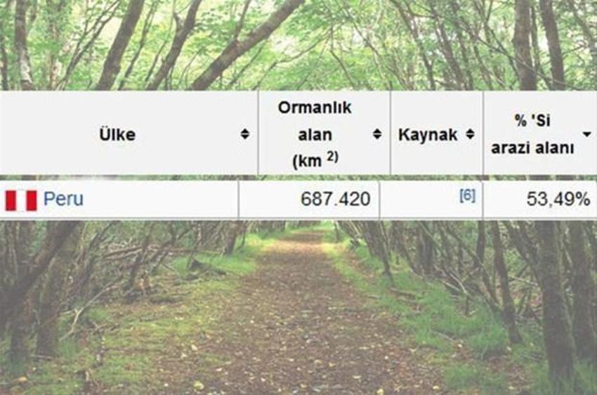 En çok ağaç hangi ülkede?