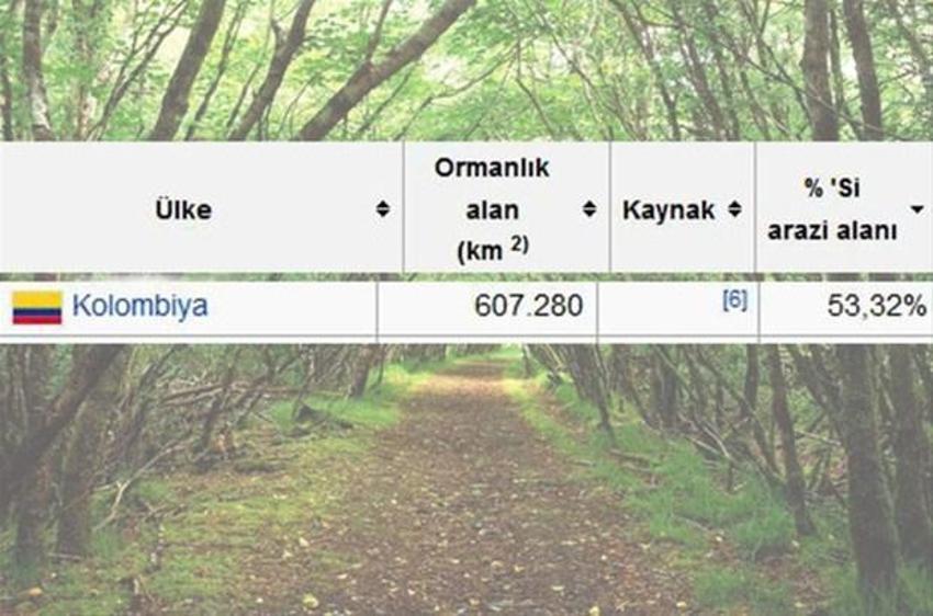 En çok ağaç hangi ülkede?