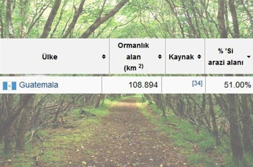 En çok ağaç hangi ülkede?