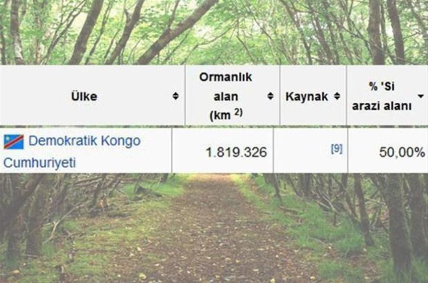 En çok ağaç hangi ülkede?