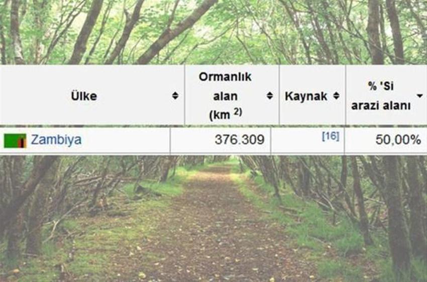 En çok ağaç hangi ülkede?