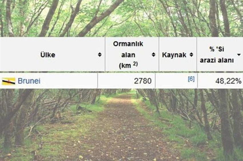 En çok ağaç hangi ülkede?