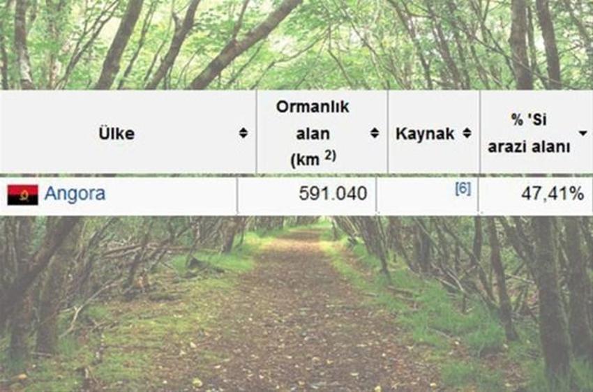 En çok ağaç hangi ülkede?
