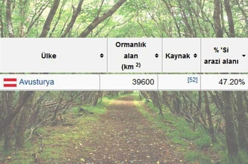 En çok ağaç hangi ülkede?