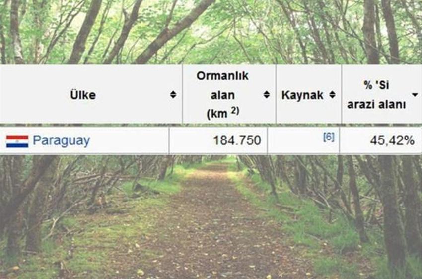 En çok ağaç hangi ülkede?