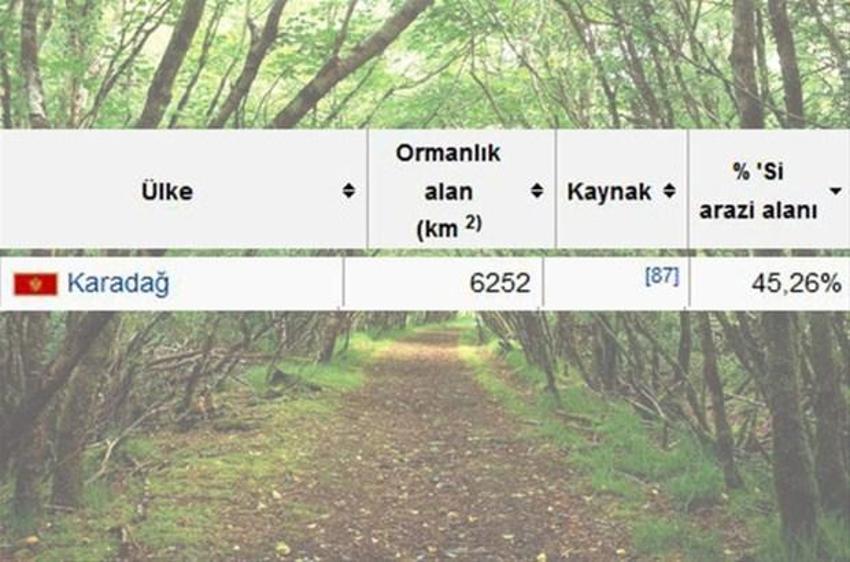 En çok ağaç hangi ülkede?