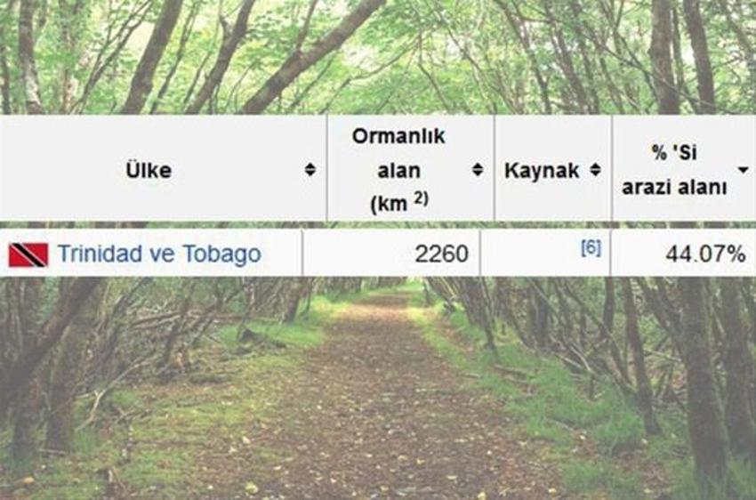 En çok ağaç hangi ülkede?