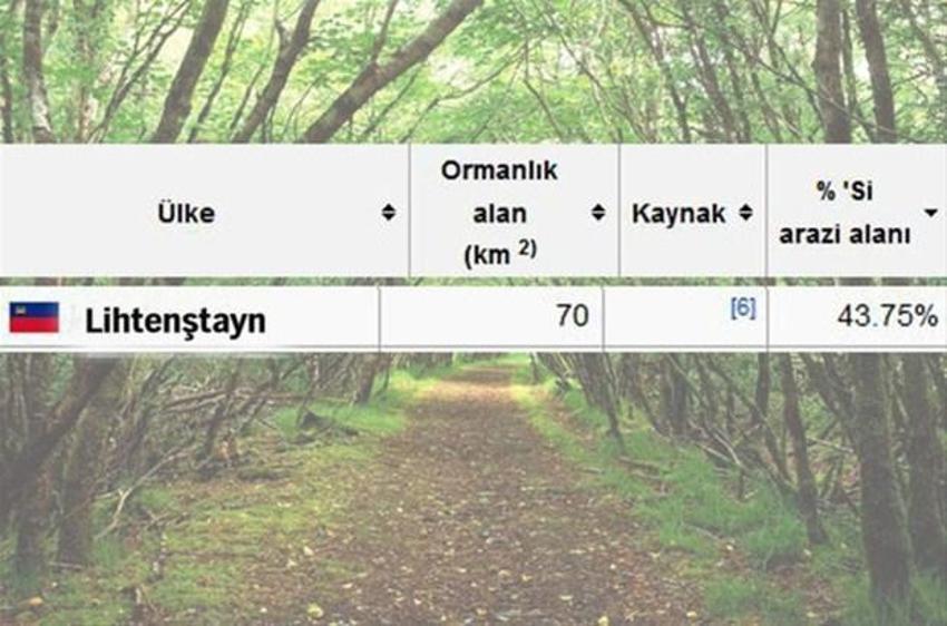 En çok ağaç hangi ülkede?