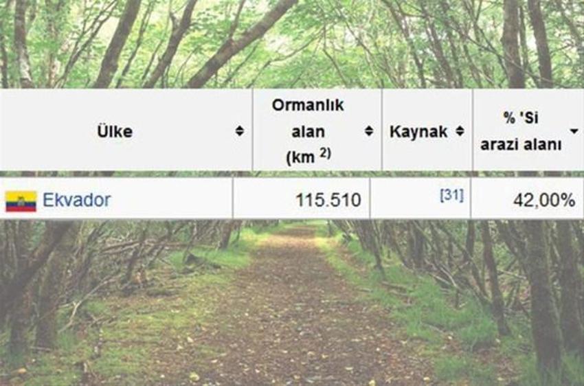 En çok ağaç hangi ülkede?