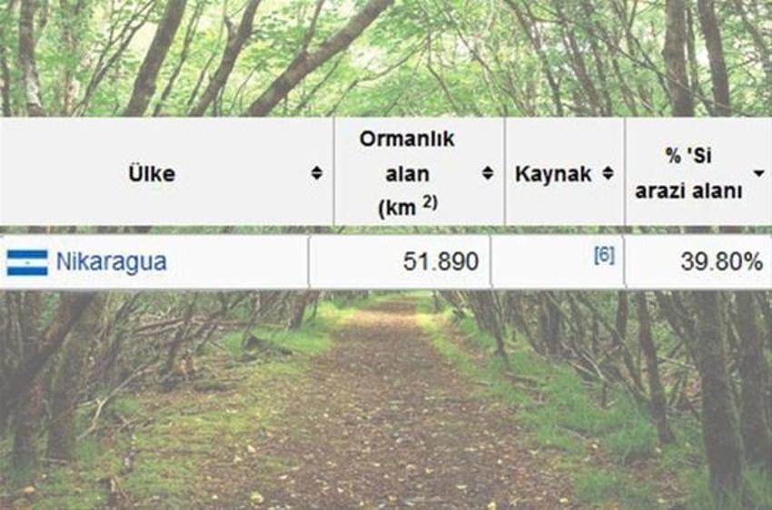 En çok ağaç hangi ülkede?