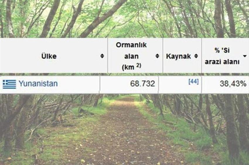 En çok ağaç hangi ülkede?