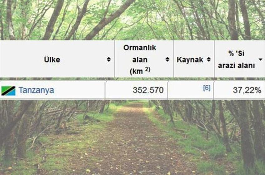 En çok ağaç hangi ülkede?