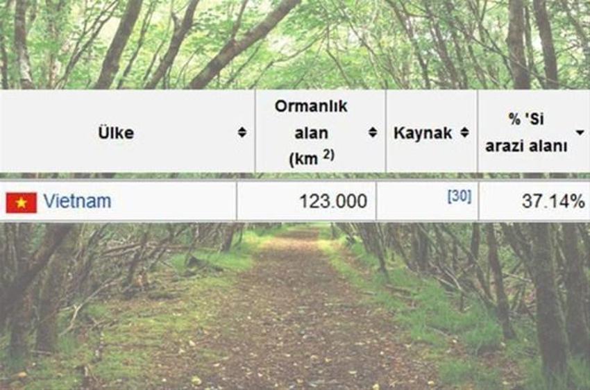 En çok ağaç hangi ülkede?