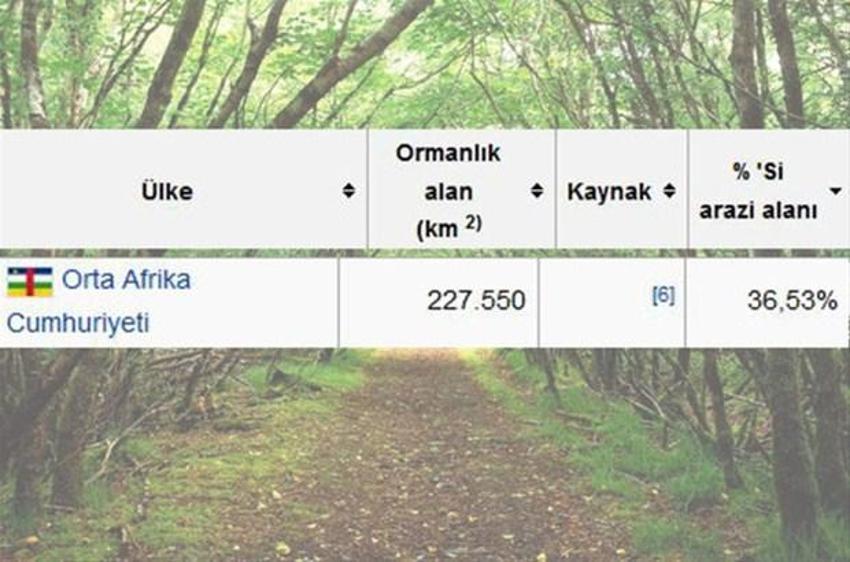 En çok ağaç hangi ülkede?