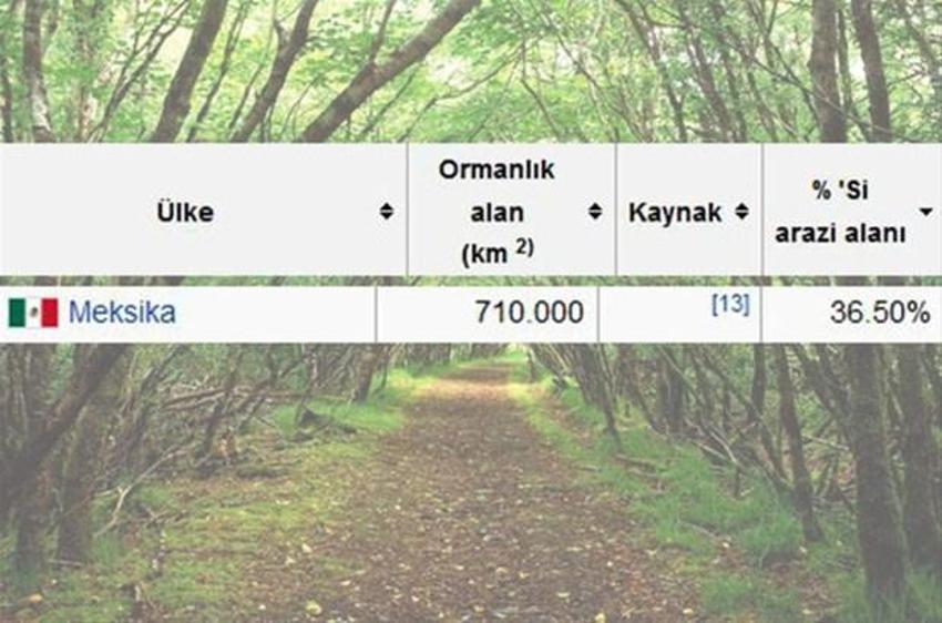 En çok ağaç hangi ülkede?