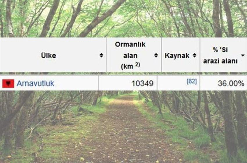 En çok ağaç hangi ülkede?