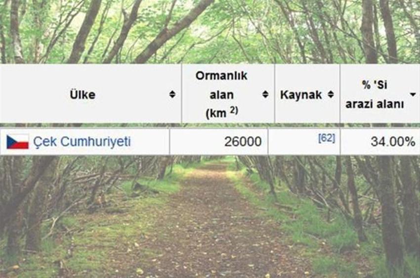 En çok ağaç hangi ülkede?