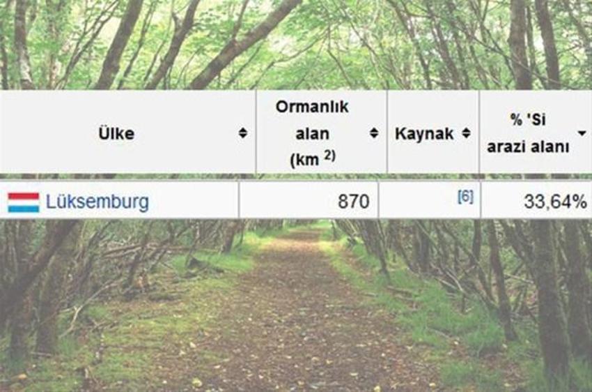 En çok ağaç hangi ülkede?