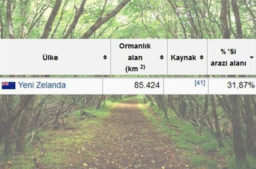 En çok ağaç hangi ülkede?