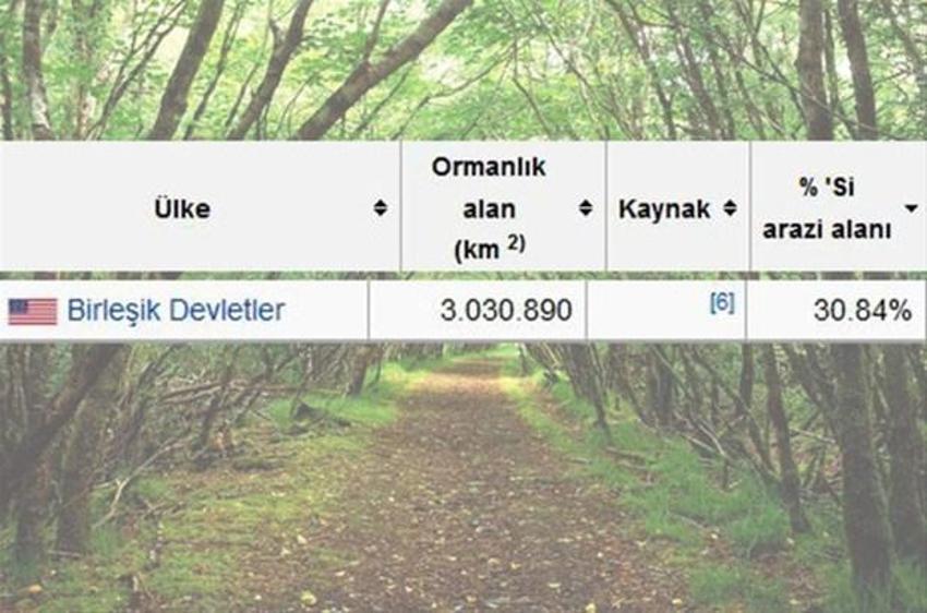 En çok ağaç hangi ülkede?