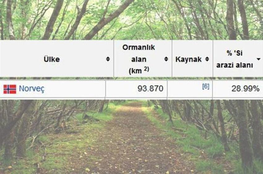 En çok ağaç hangi ülkede?
