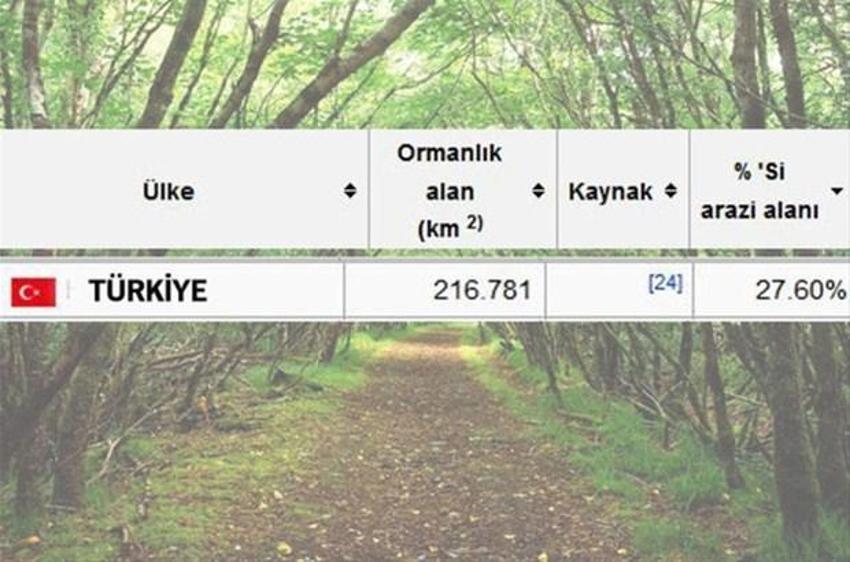 En çok ağaç hangi ülkede?